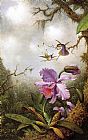 Martin Johnson Heade Two Hummingbirds and a PinkOrchid painting